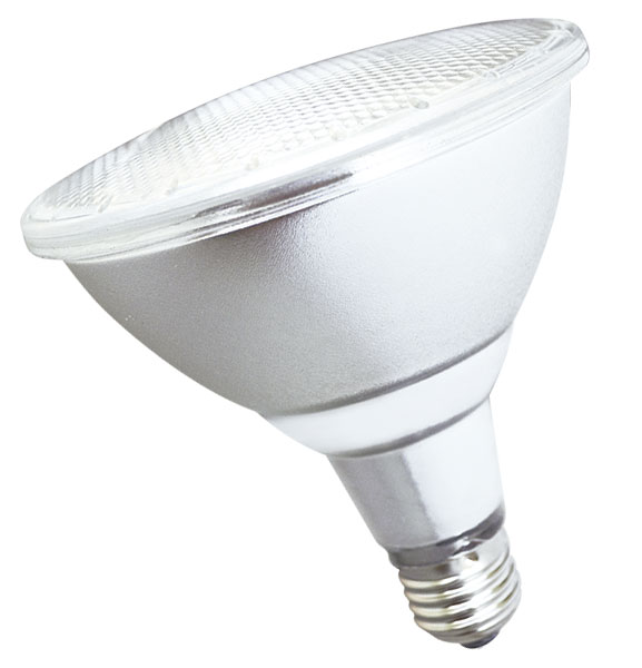 LAMPARA LED PAR38 E27 15W 230VCA VIDRIO LUZ DIA IP65  PAR38-15W