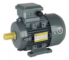 MOTOR TRIF 3000RPM  13.5HP 220/380V 50Hz    IE1