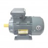 MOTOR TRIF 3000RPM   0.5HP   B3 220/380V 50HZ